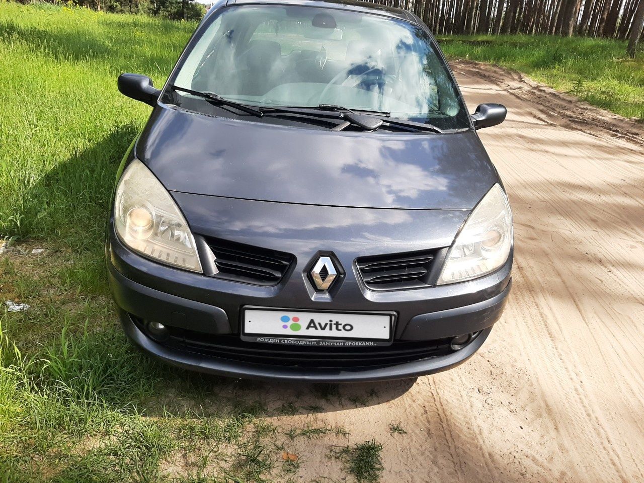 Renault Scenic: фото владельца