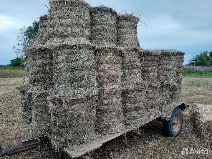 Сено в рулончиках