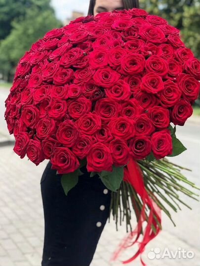 101 роза, красные розы, букет роз, букет цветов