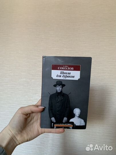 Книга «Школа для дураков»