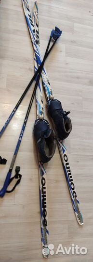 Беговые лыжи