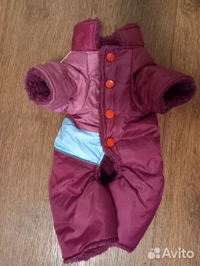 Одежда и обувь для собак мелких пород