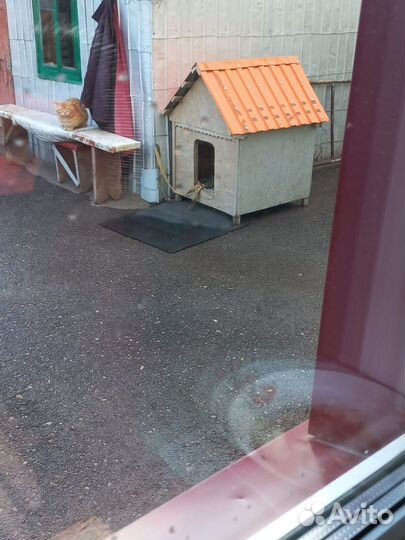 Будка для собаки