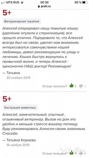 Кастрация собак в любом районе спб.Ветврач на дом