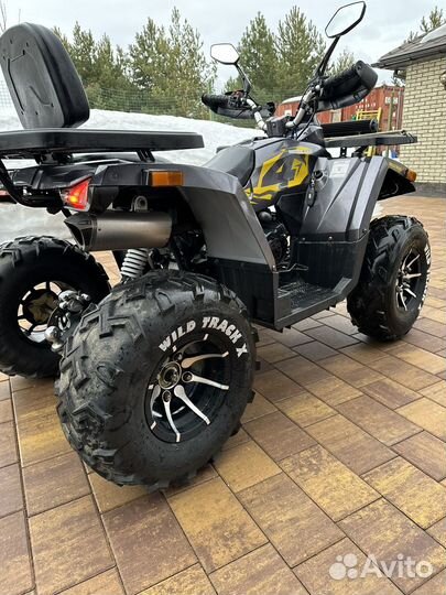 Motoland wild track x pro 200