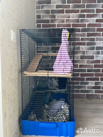Клетка для грызунов большая (+домики и поилка)
