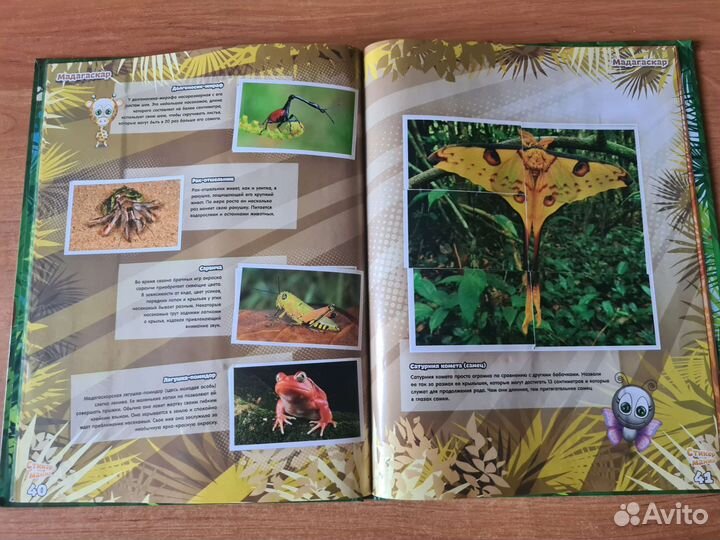 Журнал Стикермания Карусель и набор наклеек