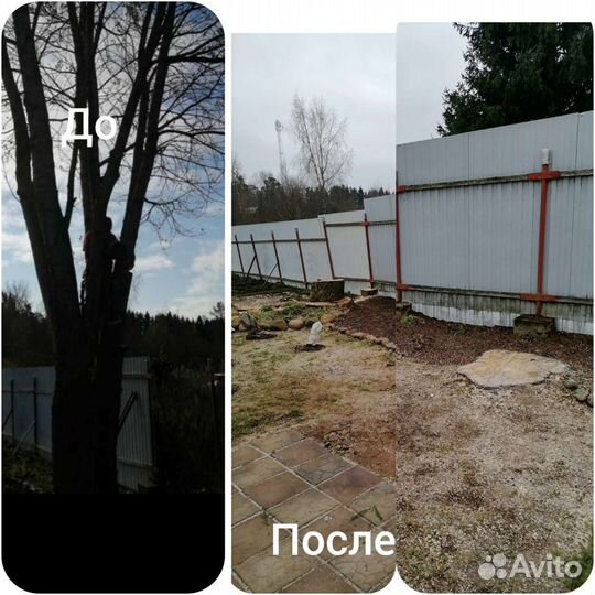 Валка опасных деревьев