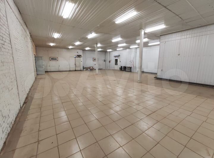 Торговая площадь, 1000 м²