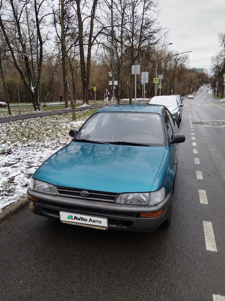 Toyota Corolla: фото владельца