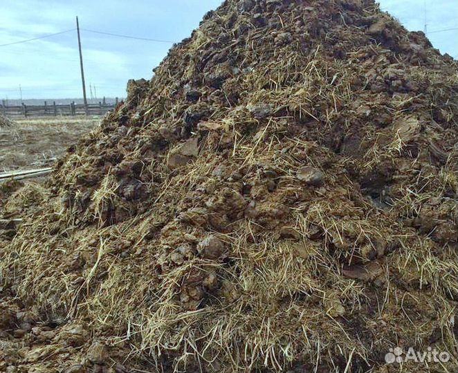 Навоз для огорода