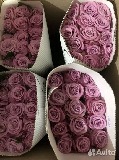 Цветы оптом