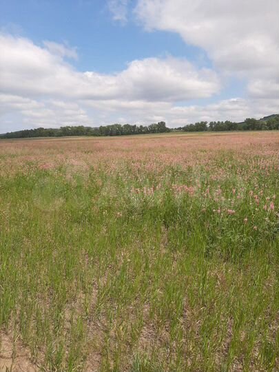 Участок 8,5 га (СНТ, ДНП)