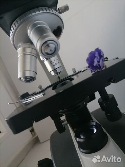 Микроскоп