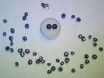 Натуральный пресноводный жемчуг- ожерелье и серьги