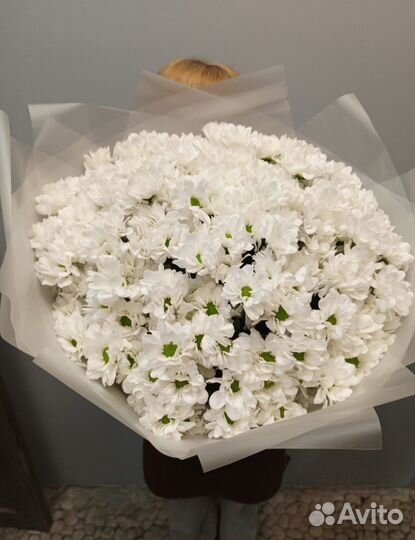 Цветы букеты с доставкой розы 51 роза