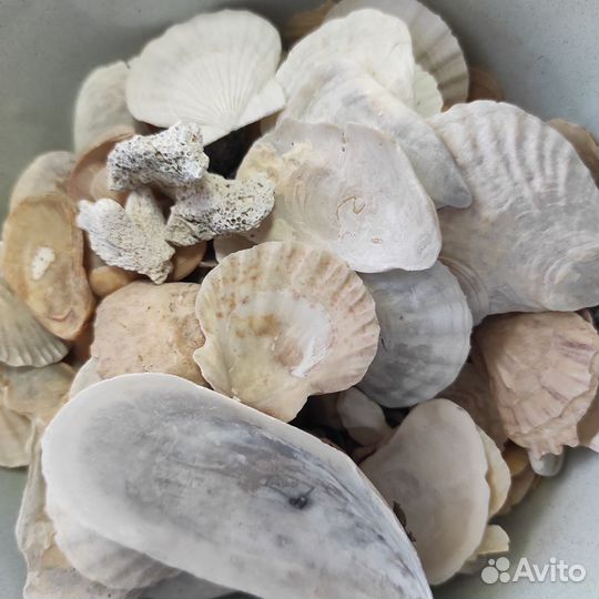 Камушки и ракушки для аквариума