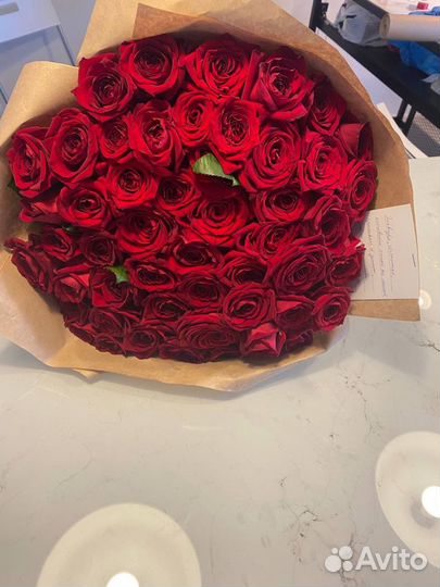 51 роза. Свежие розы. Крупный бутон