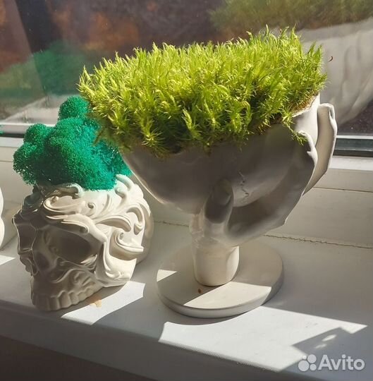 Кашпо