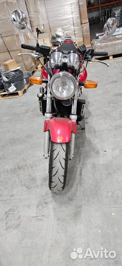 Honda hornet