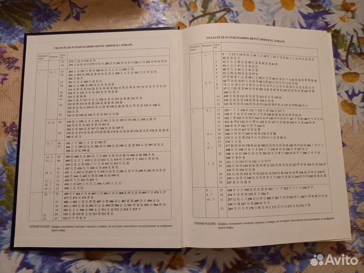 Большой Китайско-Русский словарь