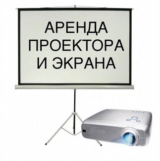 Телевизоры, проекторы, экраны, звук, свет в аренду