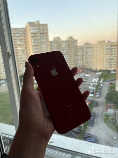 iPhone Xr, 64 ГБ