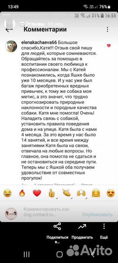 Дрессировка собак передержка собак кинолог