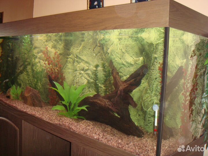 Аквариум 440 литров с тумбой