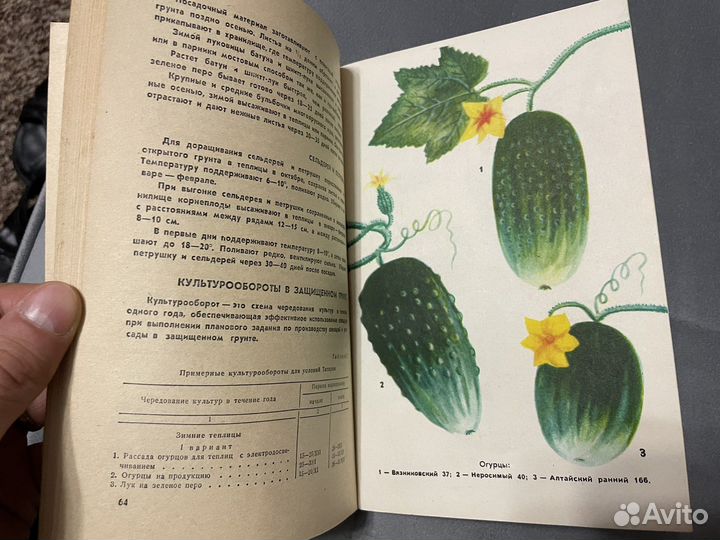 Книги Справочник овощевода, Календарь садовода