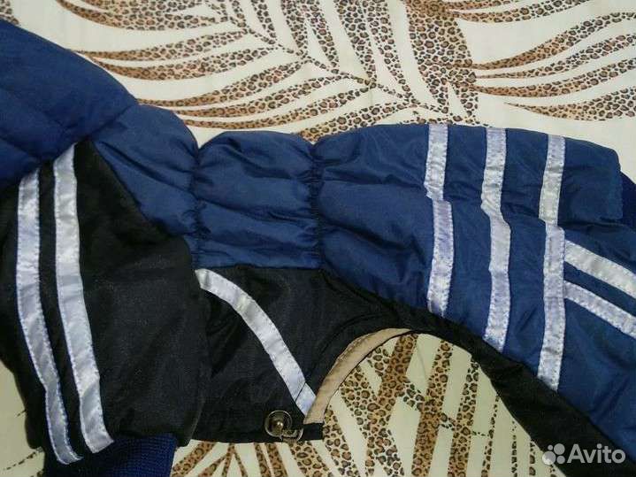 Одежда зимняя теплая для маленьких собак s