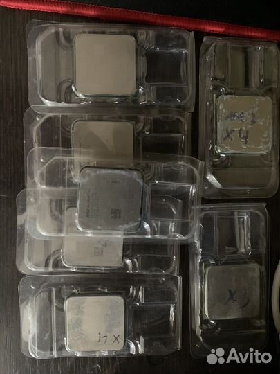 Много процессоров для AMD