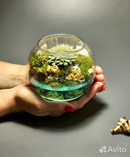 Флорариум, моссариум