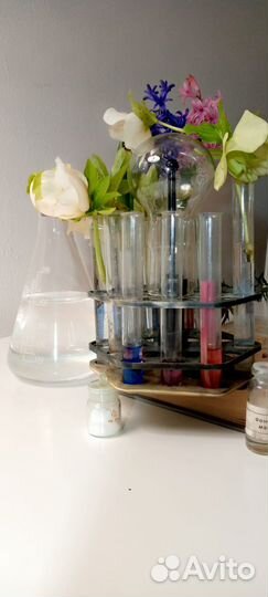 Репетитор химия и биология