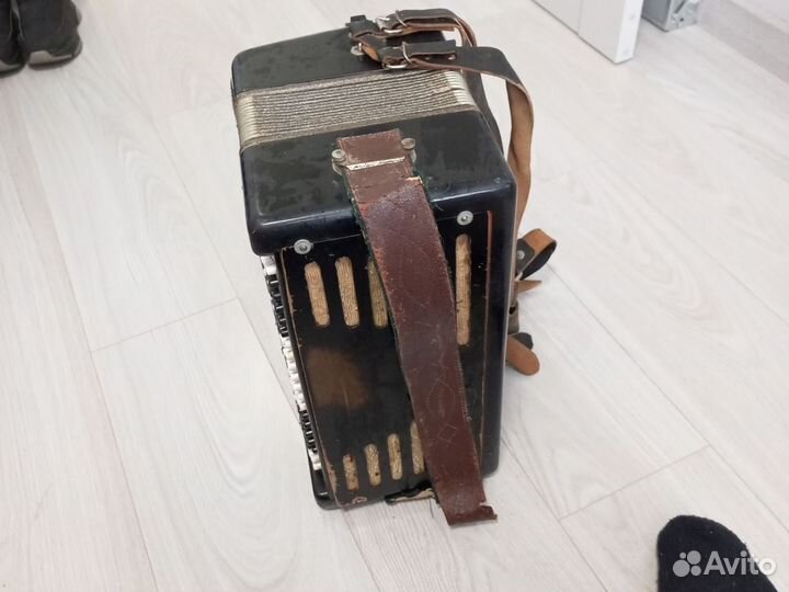 Баян кунгур