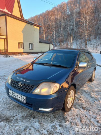 Трансфер индивидуальные экскурсии по Алтаю