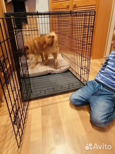 Клетка вольер для собак 93х67