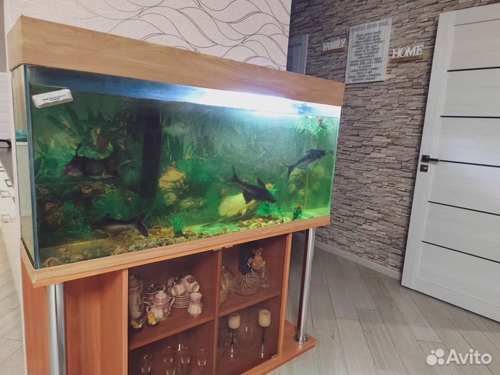 Аквариум