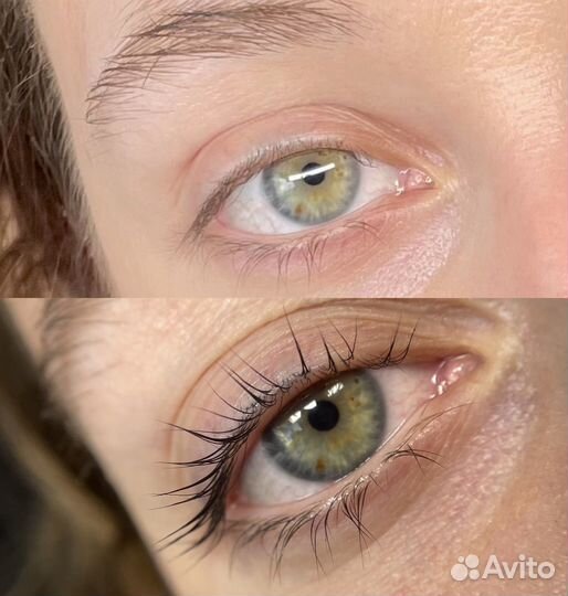 Мастер бровист