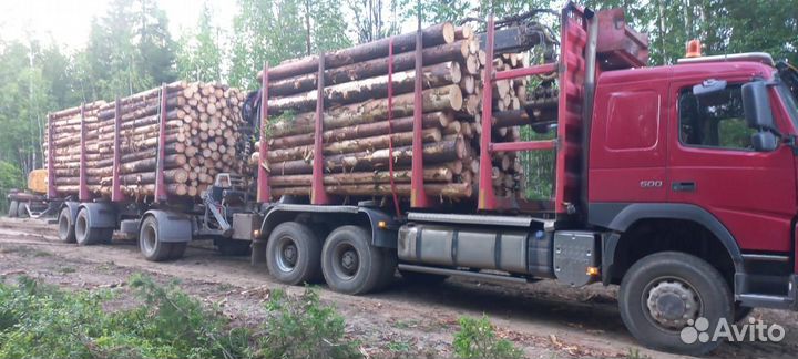 Продажа круглого леса ухта