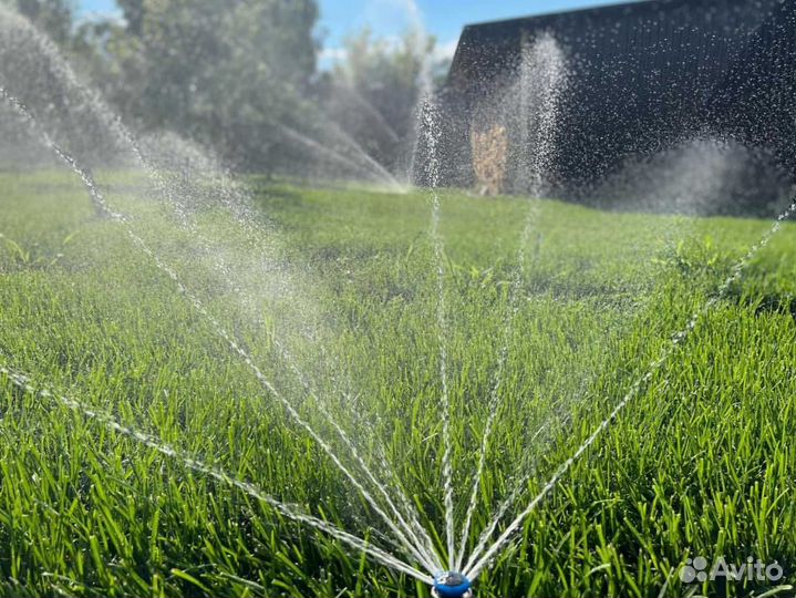 Газон. Рулонный газон