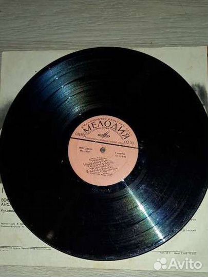 Пластинка Песняры