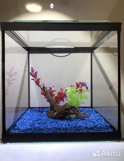 Аквариум новый