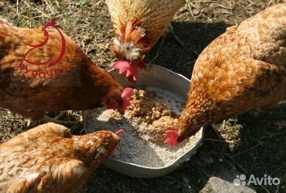 Овес в мешках