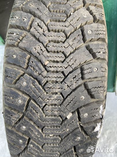 Tunga Nordway 8/4.5 R5.5 19M