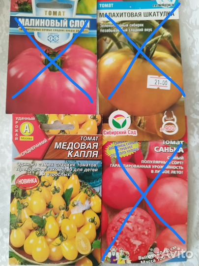 Рассада томатов