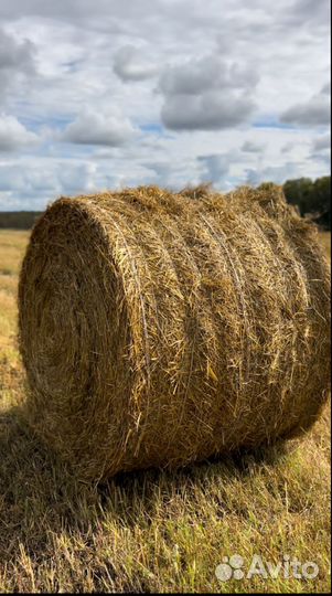 Сено в рулонах