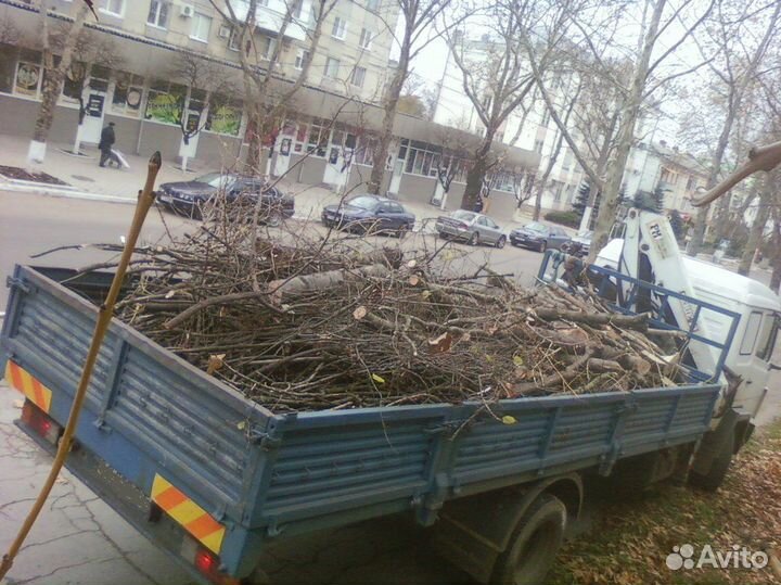 Спил деревьев Благоустройство Бурение лунок
