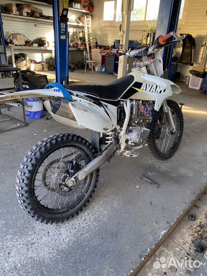 Avantis fx lux 250