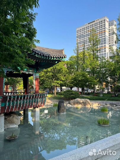 Репетитор по корейскому языку онлайн